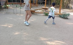 无翼乌全彩无漫画大全